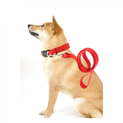 hot sale pet collars wholesale custom dog harness